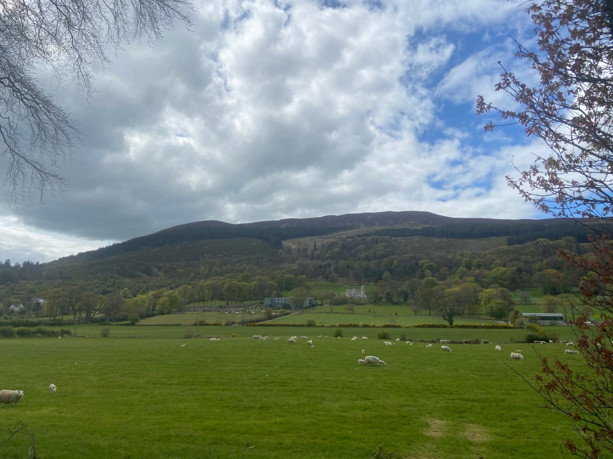 A note to&nbsp;self?